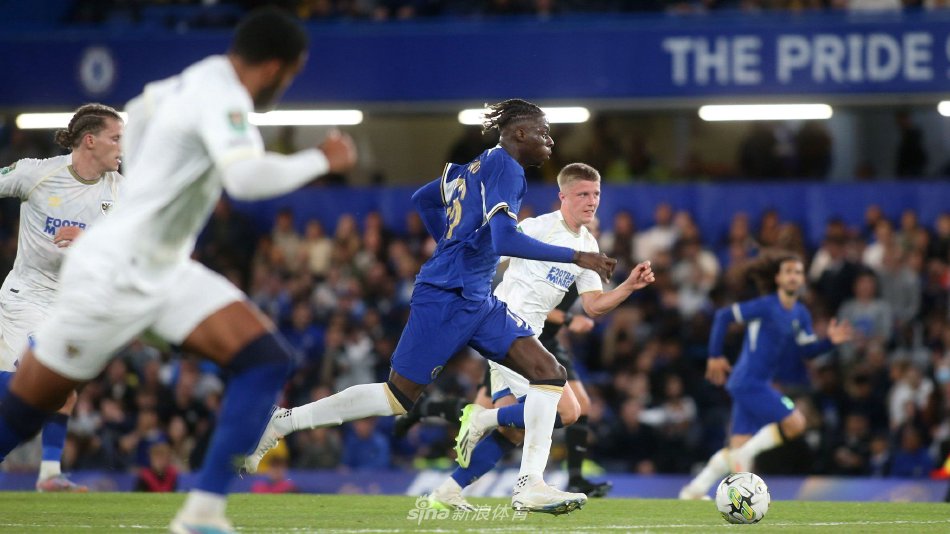 张镇麟在本 张镇麟在本