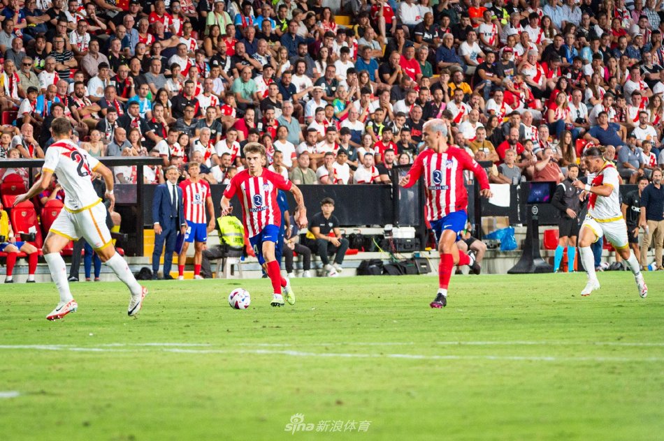 和多样化 和多样化